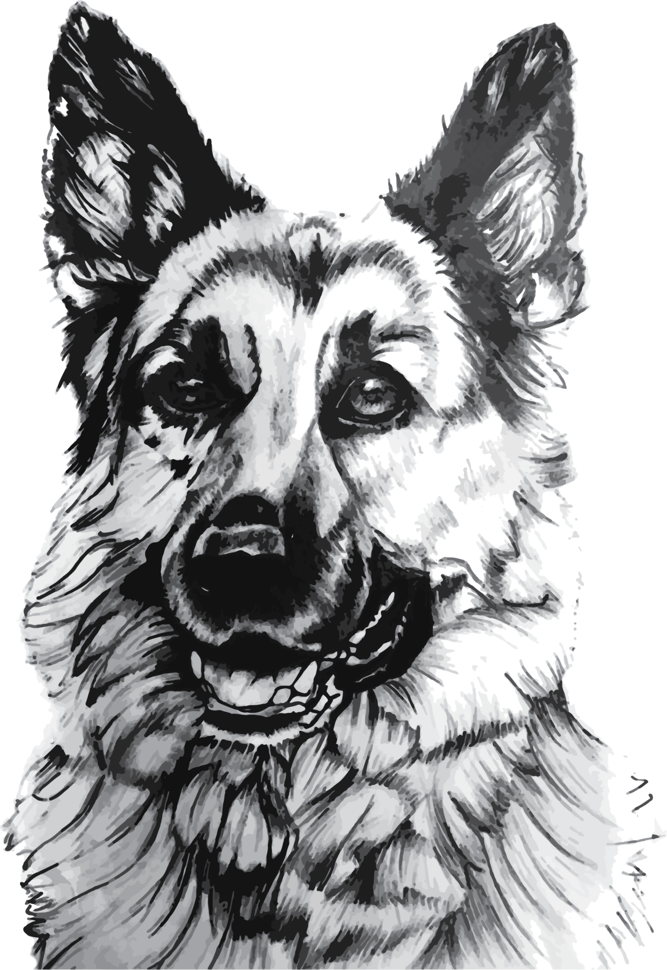 A German shepherd dog portrait sketched by EyeXcite's artist. Order your custom cartoon and/or sketching today.